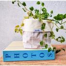 cachepo dupla face vaso de planta porta treco várias cores