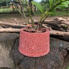 Cachepô Para Flores