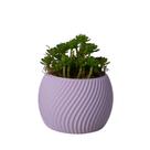 Cachepot Boleado P - Adornos