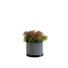 Cachepot Cascata P - Realce
