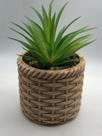 Cachepot de ceramica com suculenta rattan 10cm x 10cm x 17cm
