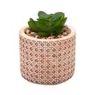 Cachepot de Cerâmica com Suculenta Treliça 7,5X7,5X10,5cm - WOLFF CASA Cachepot de Cerâmica com Suculenta Treliça 7,5X7,5X10,5cm - WOLFF CASA