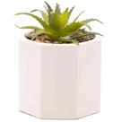 Cachepot De Cimento Com Suculenta 7,5x9,5cm Wolff Geométrico Decoração Artificial