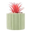 Cachepot de Cimento com Suculenta Lines Verde Claro 7,5cm 61586 - Wolff