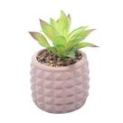 Cachepot de Cimento com Suculenta Spikes Marrom 10cm x 15cm - Wolff