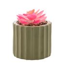 Cachepot de Cimento com Suculenta Verde 7,5cm x 10,5cm Cachepot de Cimento com Suculenta Verde 7,5cm x 10,5cm
