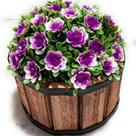 Cachepot de Madeira redondo Rústico com Bucho Flor Cores Sortidas