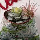 Cachepot de Parede Welcome Cachepot de Parede Welcome
