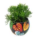 Cachepot Decorativo de Cerâmica Bola Pintura Orgânica Folhas Coração M