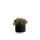 Cachepot Floral P - Realce
