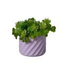 Cachepot Mesclado P - Adornos