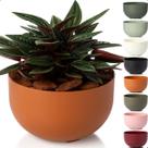 Cachepot Mini Cuia Pote 13 Vaso Raiz Due 14x8 Encaixe Decore Cor Terracota