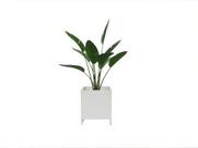 Cachepot New Branco