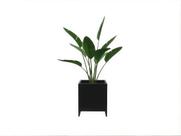Cachepot New Preto
