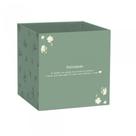 Cachepot Paper Decorado Pote 15 Daisy Quadrado 15X15X1 Pacote com 10