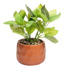 Cachepot Prisma Marrom 11x22cm Cimento e Plantas Cachepot Prisma Marrom 11x22cm Cimento e Plantas