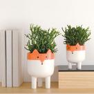 Cachepot "Raposa" Branco e Laranja Em Ceramica 15 cm M02 - D'Rossi