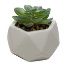Cachepot Sucelenta Artificial Lyor Prismatto Cimento Cinza Cachepot Sucelenta Artificial Lyor Prismatto Cimento Cinza