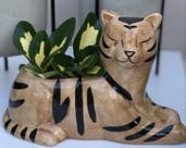Cachepot Tigre em Cerâmica