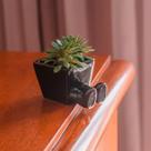 Cachepot Vasinho Perninhas P/ Suculentas p/ Plantinhas Flores Artificiais Decorativo Decoração Casa Minimalista Fofo Cachepot Vasinho Perninhas P/ Suculentas p/ Plantinhas Flores Artificiais Decorativo Decoração Casa Minimalista Fofo
