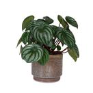 Cachepot/Vaso/suporte para plantas em cerâmica marrom - MART