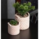 Cachepot Wolff de Cerâmica com Suculenta Palha 10cm x 10cm X