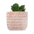Cachepot Wolff de Cerâmica com Suculenta Trançado 7,5cm