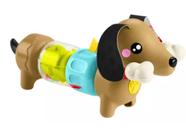 Cachorrinho Dachshund Infantil Htw91 Fisher-price Mattel