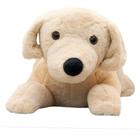 Cachorro Bege Deitado 55cm - Pelúcia