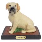 Cachorro Cão Escultura Estatueta Enfeite Resina Várias Raças