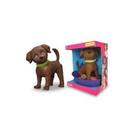 Cachorro da Barbie Pet Care Dj com acessorios