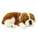Cachorro de Pelúcia Respirante Bulldog - Perfect Petzz com Som de Ronco