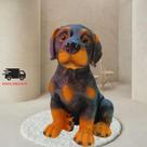 Cachorro Rottweiler de Gesso cofre ou Cofrinho de Labrador. Escolha o seu