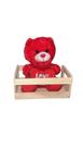 Cachote + urso
