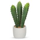 Cacto artificial DILATATA Euphorbia Accruensis 17 cm com vaso
