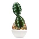 Cacto Artificial Mini Vaso - Arranjo de Vasinhos Branco Cacto Artificial Mini Vaso - Arranjo de Vasinhos Branco