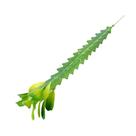 Cacto Artificial Verde Artificial Permanente 20cm Flor Arte