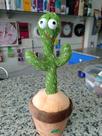 Cactus interativo Cactus interativo