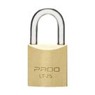 Cadeado Pado LT-25 25mm - Caixa com 10 Unidades