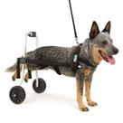 Cadeira De 2 Rodas Cachorro Tam. G Grande Regulável Pata Traseira Paraplegia Displasia Idoso Pet Best Soluções