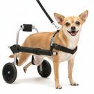 Cadeira De 2 Rodas Cachorro Tam. Micro Regulável Pata Traseira Pet Best Soluções Cadeira De 2 Rodas Cachorro Tam. Micro Regulável Pata Traseira Pet Best Soluções