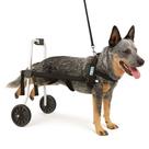 Cadeira De 2 Rodas Cachorro Tamanho G Anti Tombamento Pet Cadeira De 2 Rodas Cachorro Tamanho G Anti Tombamento Pet