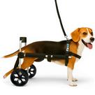 Cadeira De 2 Rodas Cachorro Tamanho M Médio Cão Pet Patas Traseiras Paraplegia Pet Best Soluções
