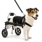 Cadeira De 2 Rodas Para Cachorro Tam. P Pequena Regulável Patas Traseiras Pet Best Soluções Paraplegia Lesões Idosos