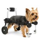 Cadeira de 4 Rodas Cachorro Tam. PP Regulável Tetraplegia Paralisia Idosos Pet Best Soluções Cadeira de 4 Rodas Cachorro Tam. PP Regulável Tetraplegia Paralisia Idosos Pet Best Soluções