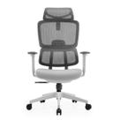 Cadeira De Escritório Ergonômica Aurove 186A Edge Gray