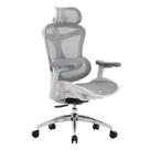 Cadeira de Escritório SIHOO Doro C300 Ergonômica com Tela Cinza