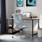Cadeira de Escritório SIHOO M18 Ergonômica com Encosto de Cabeça e Suporte Lombar em Tela