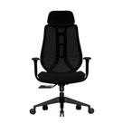 Cadeira Ergonômica Elements Galatea Preta