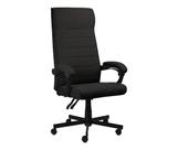 Cadeira Escritório Ergonômica Magnus Conforto Pcyes